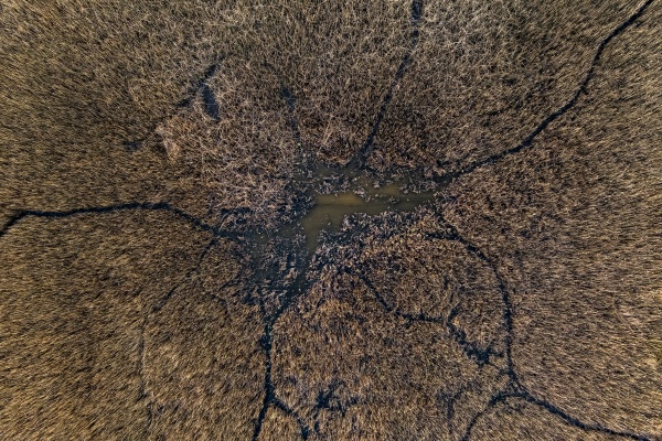 aerial view of marshland ria