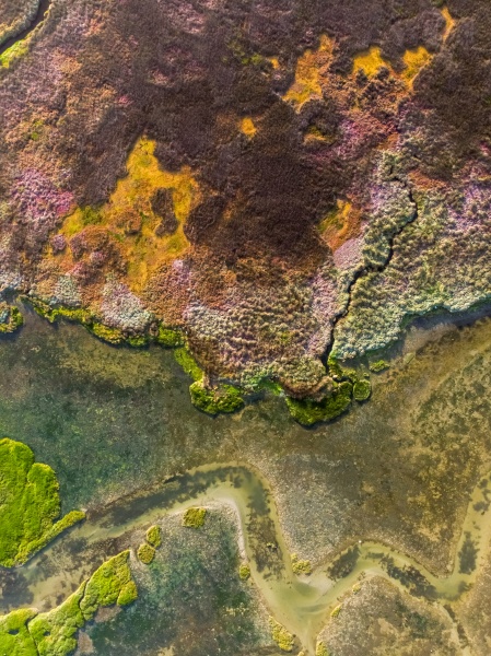 aerial, view, of, velddrift, wetland, colourful - 30152194