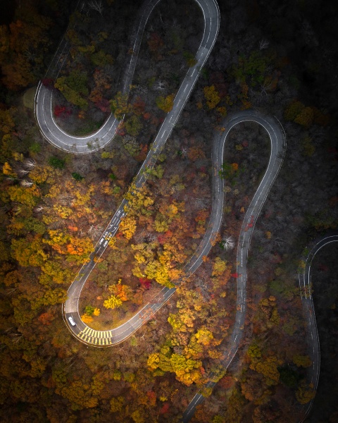 aerial view of a scenic road