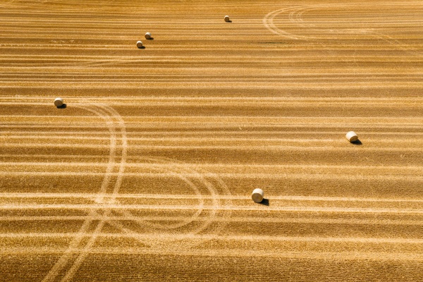 abstract aerial view of straw bales