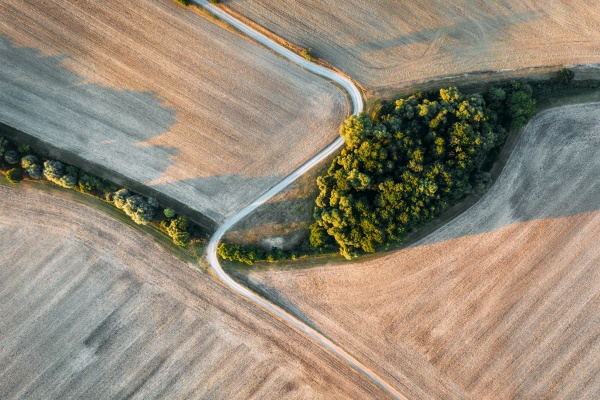 abstract aerial view of mowed field