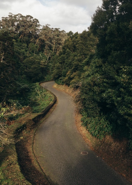 aerial view road winding through the