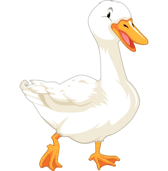 goose on white background