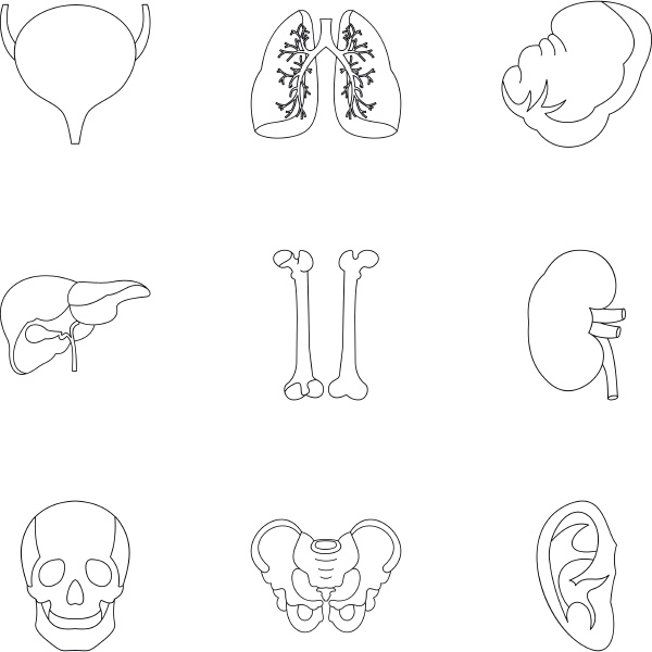 bodies icons set outline style