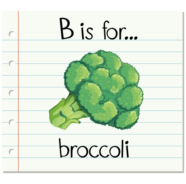 flashcard letter b is for broccoli