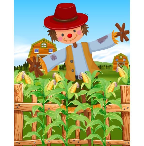 scarecrow in the corn field
