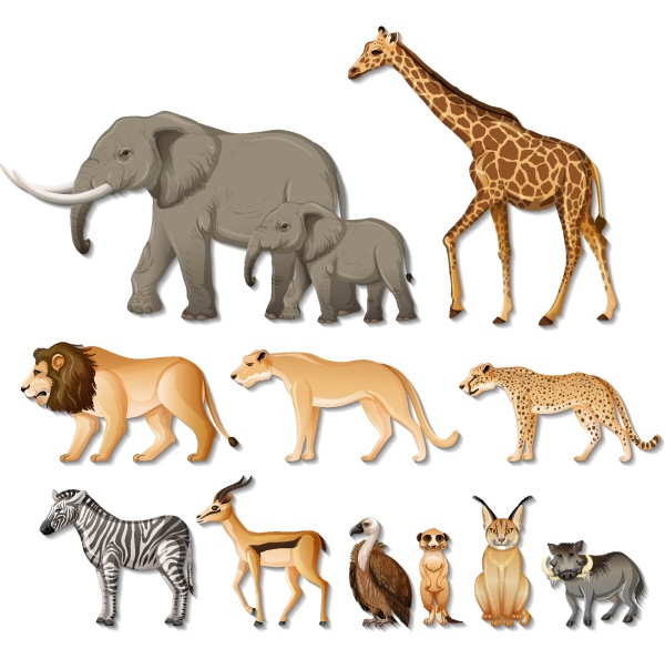 set of isolated wild african animals