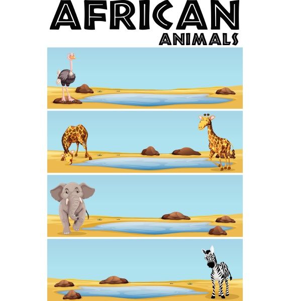 african animals by the pond