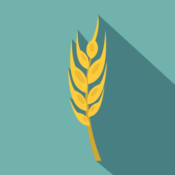 barley spike icon flat style