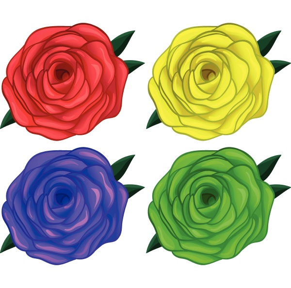 four colorful roses