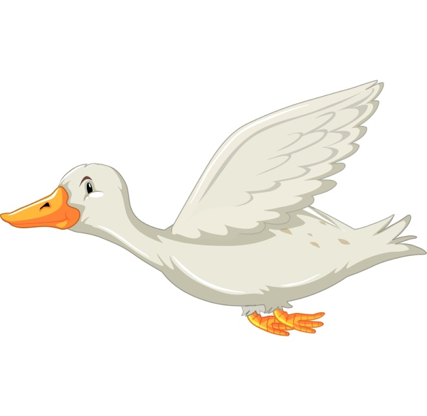 a flying duck on white backgrounf