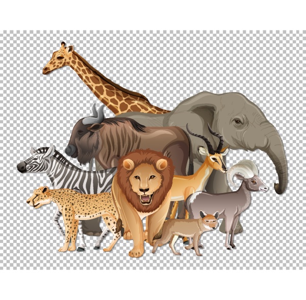 group of wild african animals on