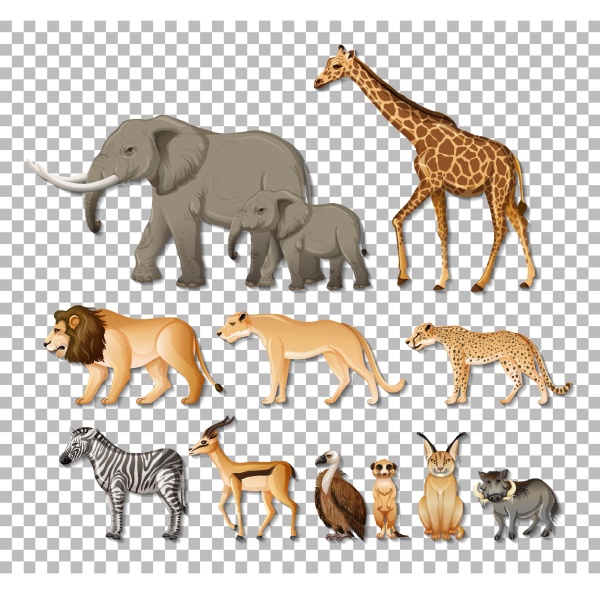 set of isolated wild african animals