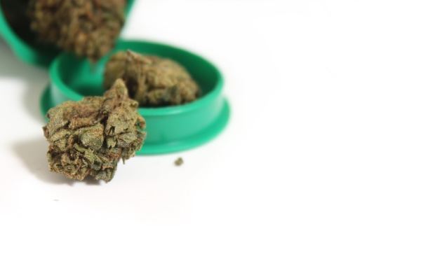 legal marijuana buds and cbd hemp