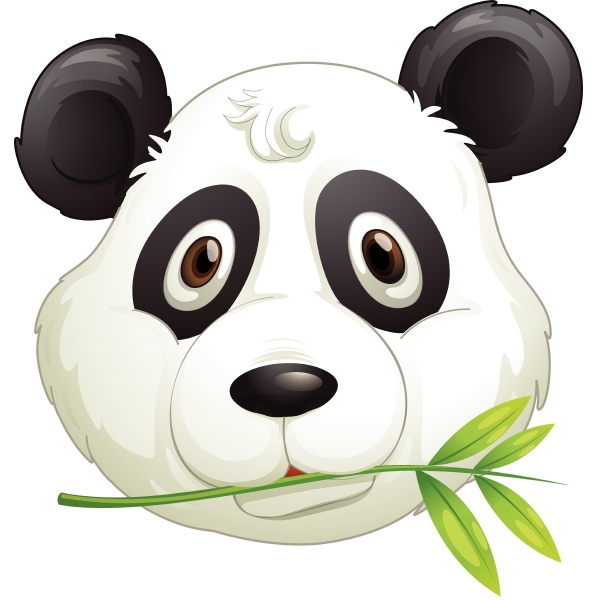 face of cute panda eating bamboo