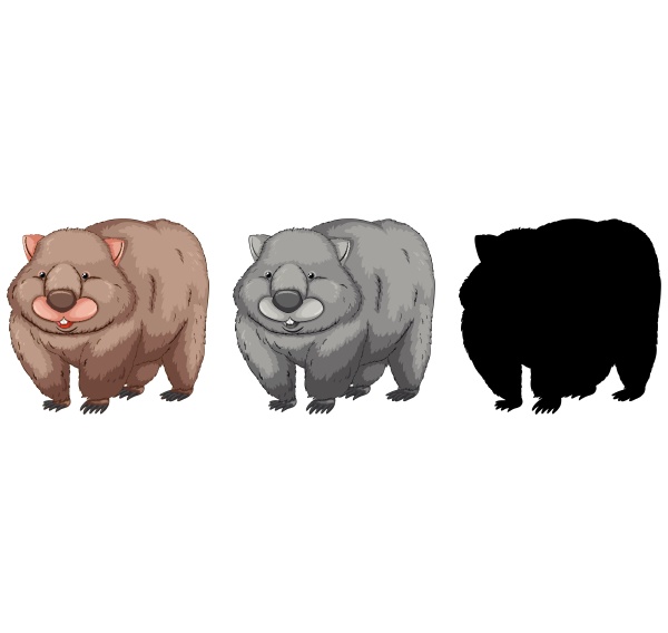 set of wombat character