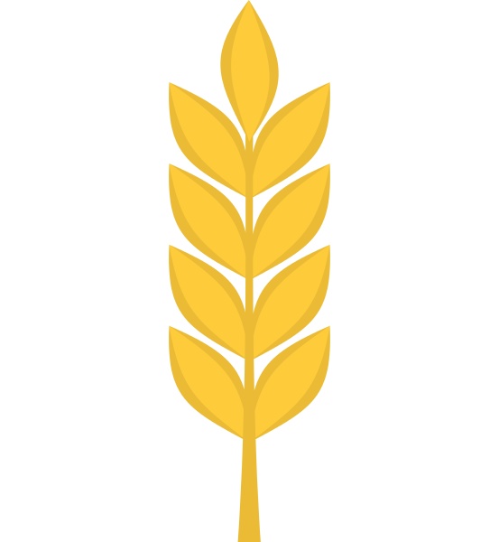 wheat spike icon isolated