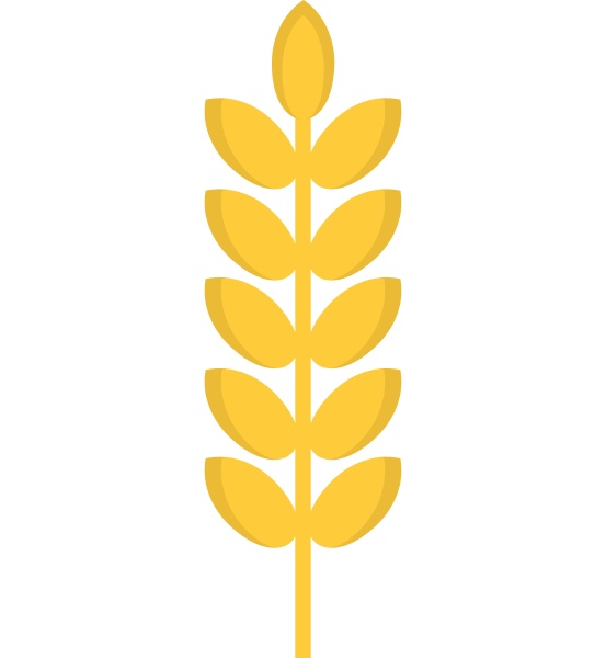 grain spike icon isolated