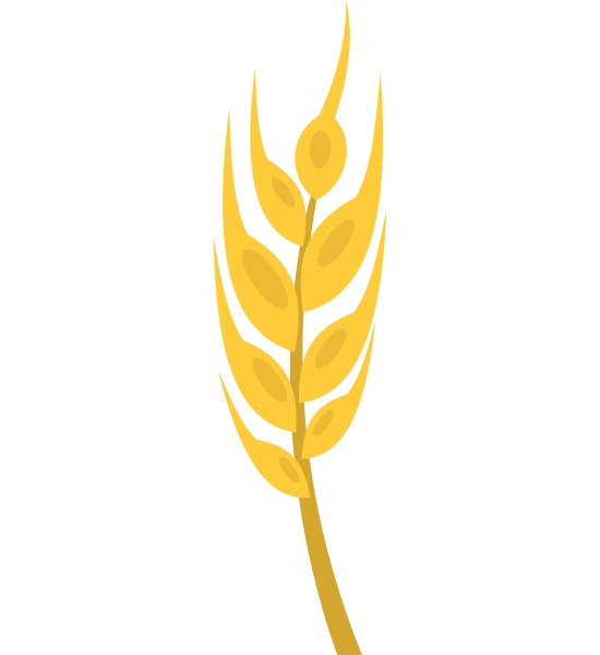 barley spike icon isolated