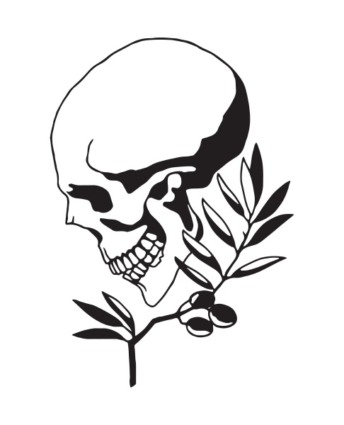 smiling skull on a background of