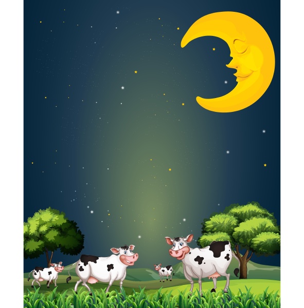 cows under the sleeping moon