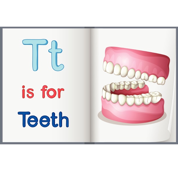 a picture of teeth in a