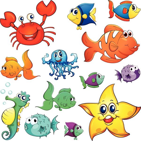 different sea creatures