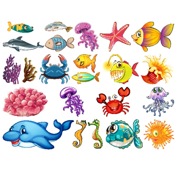 large set of sea creatures on