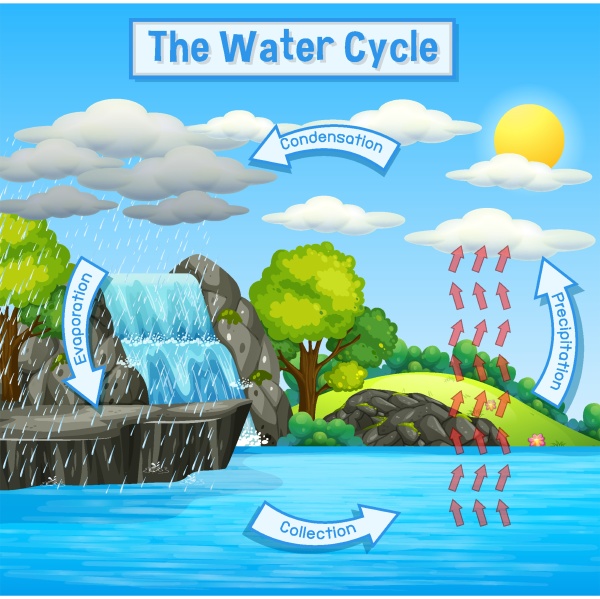 Water Cycle of Earth - Stock Photo #30492929 | PantherMedia Stock Agency