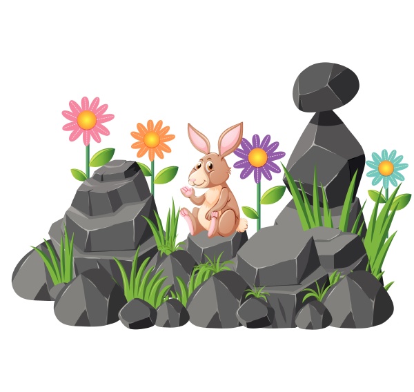 cute rabbit sitting on rocks