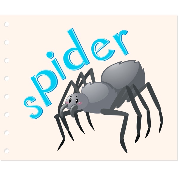 animal word card with spider
