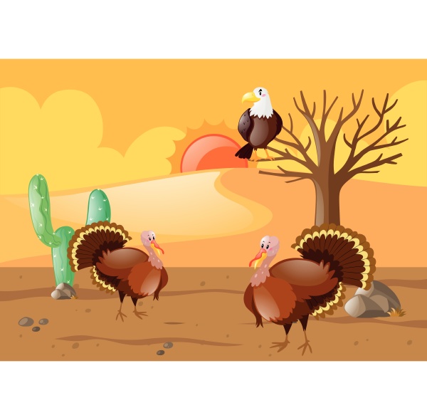 turkeys and eagle in desert