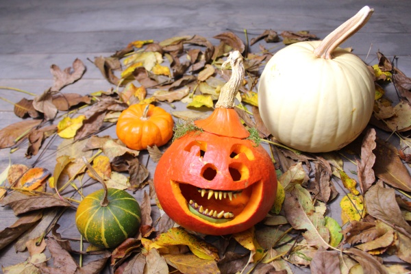 funny pumpkin in autumn leaves