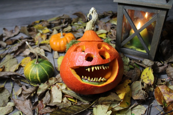 funny pumpkin and a lantern