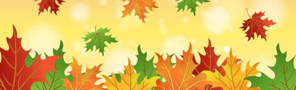 realistic autumn maple leaves on bokeh