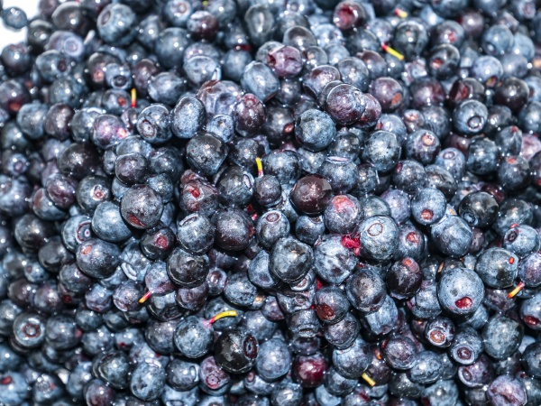 fruits of berries of forest blueberries