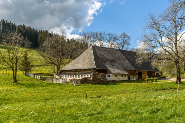 traditional farm house in black forest