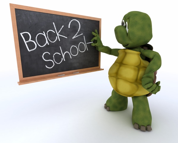 tortoise with school chalk board back