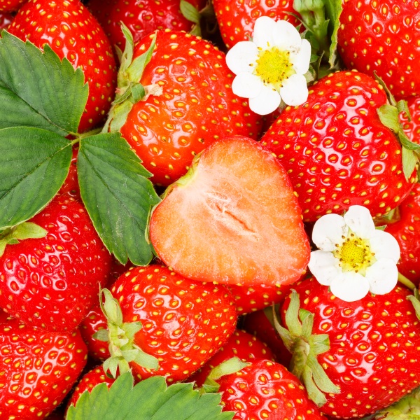 strawberries berries fruits strawberry berry fruit