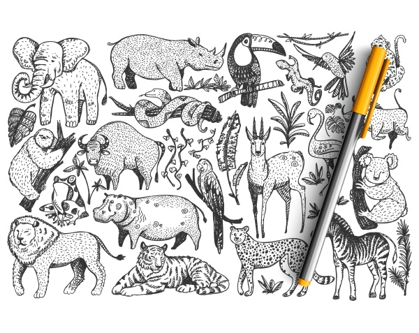 animals hand drawn doodle set