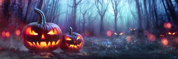 halloween pumpkins in a spooky forest