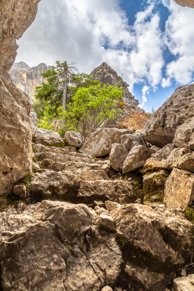 rock labyrinth below latemar mountains
