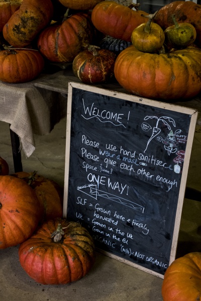 pumpkins and blackboard with welcome note