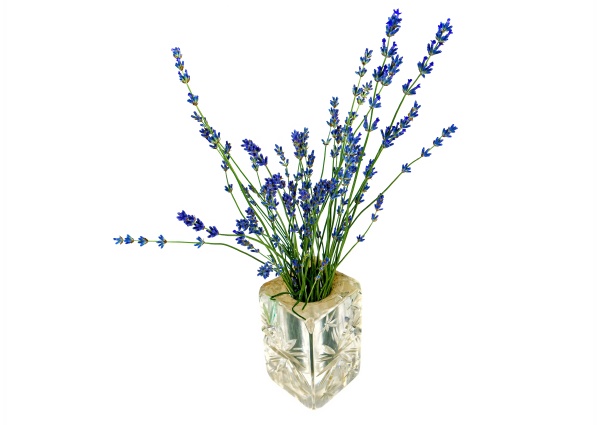 a bouquet of blue lavender flowers