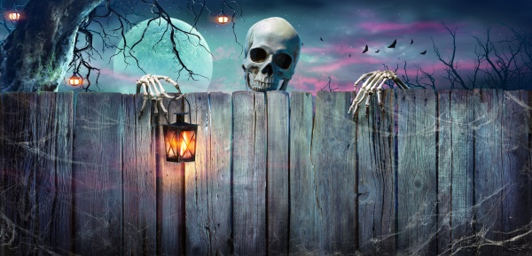 halloween skeleton holding lantern