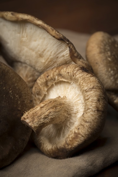 shiitake mushrooms with a stem