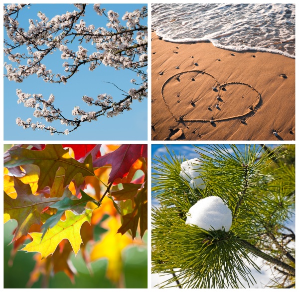 four seasons collage