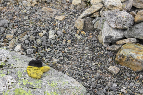 yellow childrens glove forgotten lost on