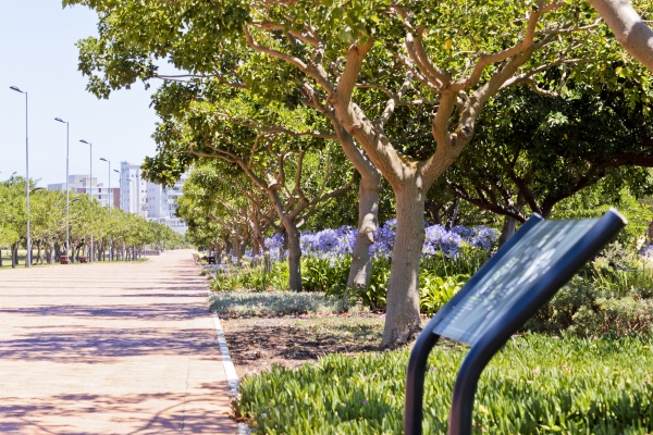 entrance path to green point park