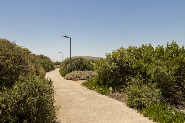 path, green, point, park, to, cape - 30909478